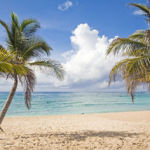 Strand met palmbomen-pb[2]